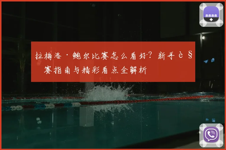 拉梅洛·鲍尔比赛怎么看好?新手观赛指南与精彩看点全解析